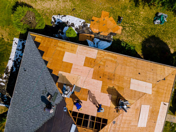 Best Metal Roofing Contractor  in Minneapolis, MN