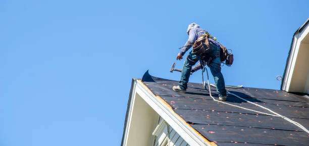Best New Roof Installation  in Minneapolis, MN